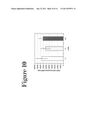 RECOMBINANT VIRUS PRODUCTION USING MAMMALIAN CELLS IN SUSPENSION diagram and image