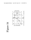 RECOMBINANT VIRUS PRODUCTION USING MAMMALIAN CELLS IN SUSPENSION diagram and image