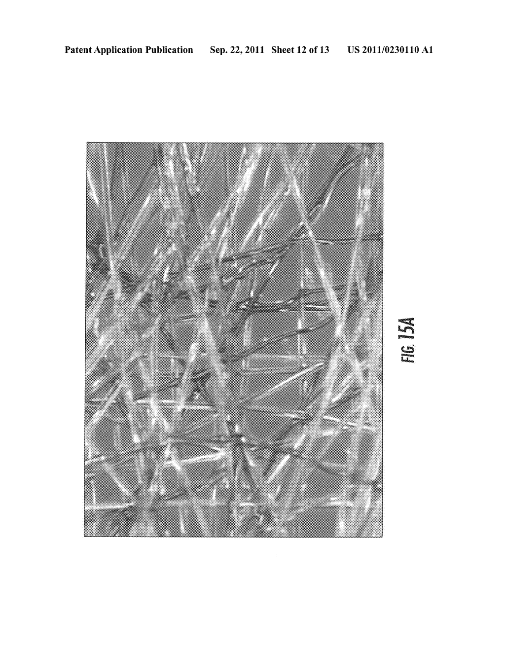 Area Bonded Nonwoven Fabric From Single Polymer System - diagram, schematic, and image 13