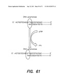 METHODS AND APPARATUS FOR MEASURING ANALYTES USING LARGE SCALE FET ARRAYS diagram and image