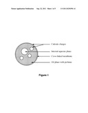 MICROCAPSULES AND USES THEREOF diagram and image