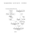 Glycoproteins Produced in Plants and Methods of Their Use diagram and image