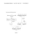 Glycoproteins Produced in Plants and Methods of Their Use diagram and image