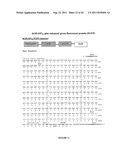 Glycoproteins Produced in Plants and Methods of Their Use diagram and image