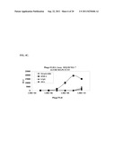 AFFINITY PEPTIDES TOWARD BMP-2 diagram and image