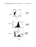 LOW DENSITY LIPOPROTEIN RECEPTOR-MEDIATED siRNA DELIVERY diagram and image