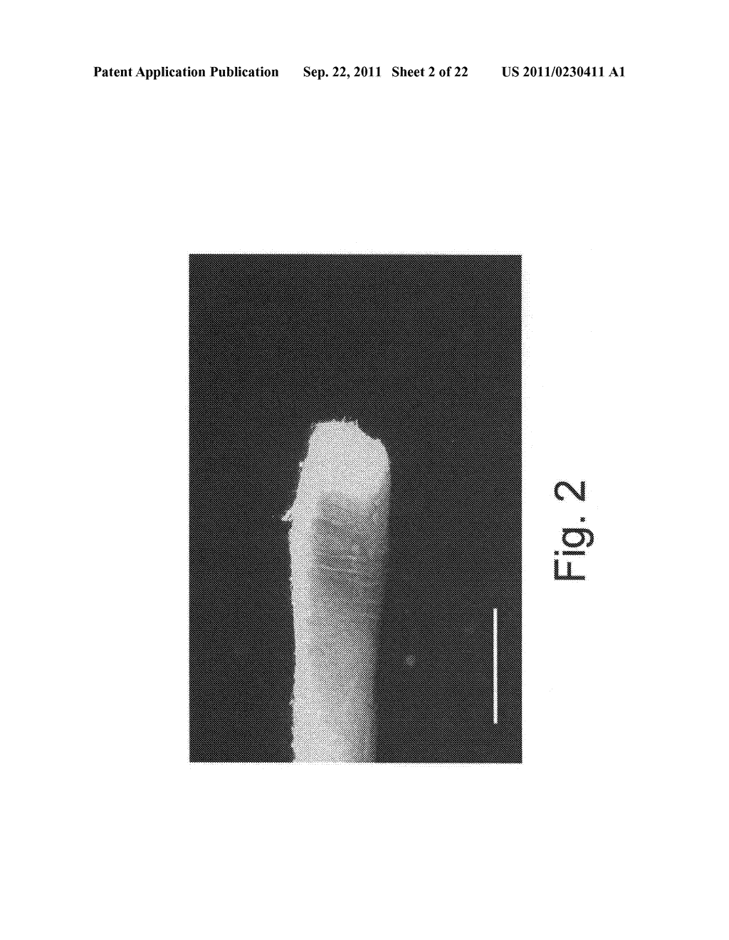 Albumin fibers and fabrics and methods of generating and using same - diagram, schematic, and image 03