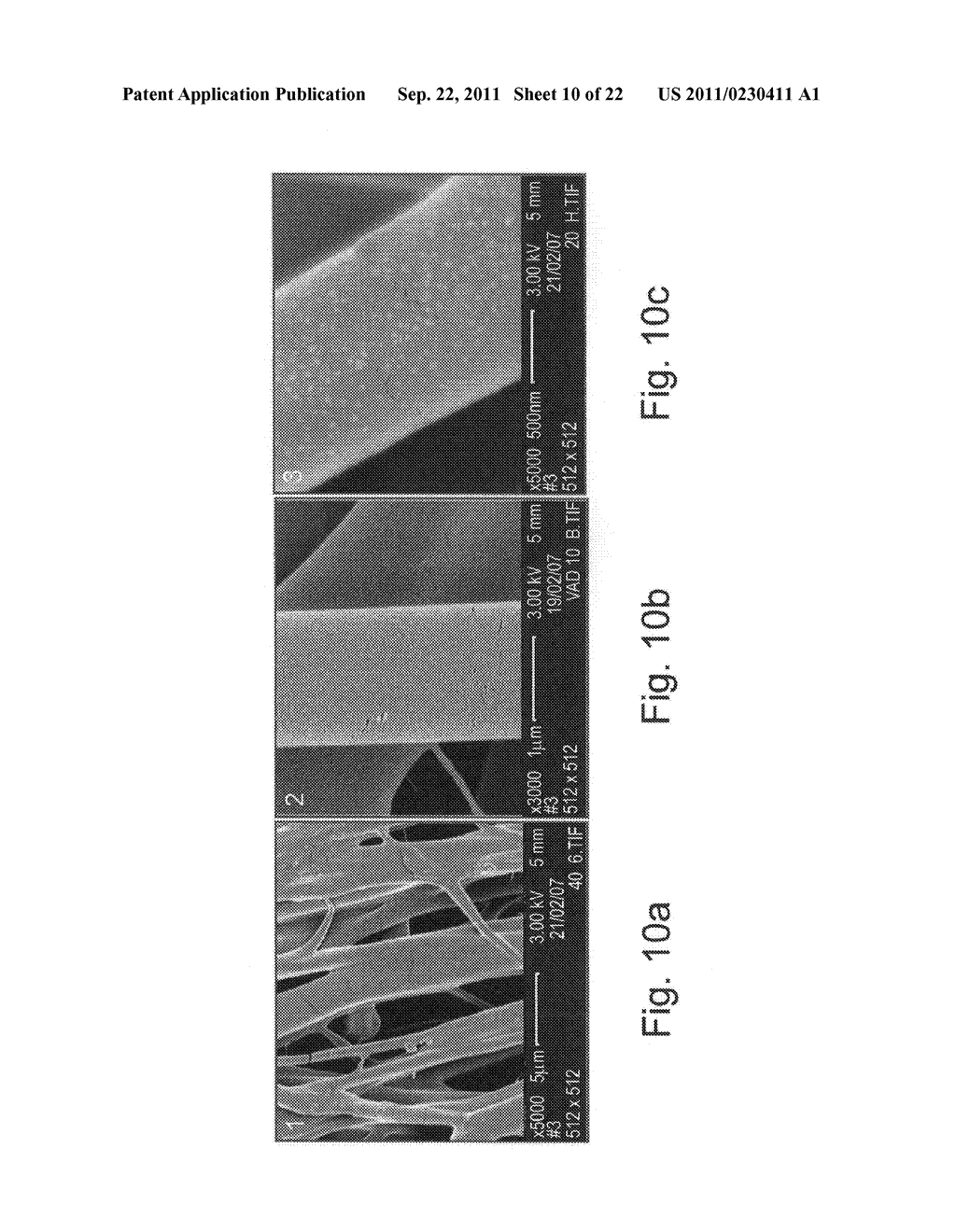 Albumin fibers and fabrics and methods of generating and using same - diagram, schematic, and image 11
