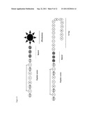 PEPTIDE DERIVATIVES AND USE THEREOF AS CARRIERS FOR MOLECULES IN THE FORM     OF CONJUGATES diagram and image