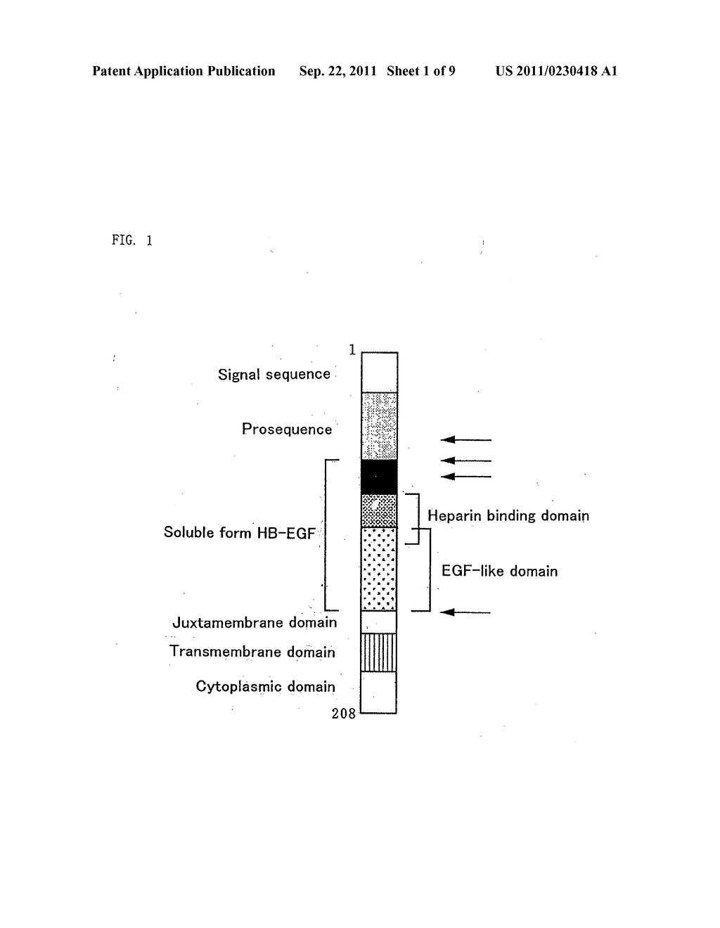 Anticancer Agent - diagram, schematic, and image 02