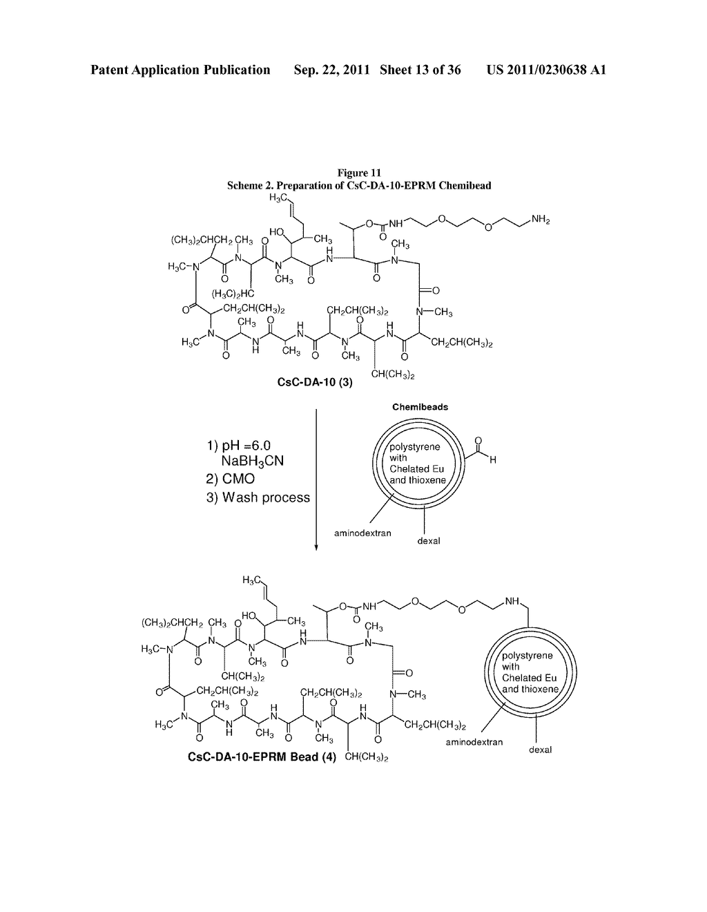 METHODS FOR DETECTION OF CYCLOSPORIN A - diagram, schematic, and image 14