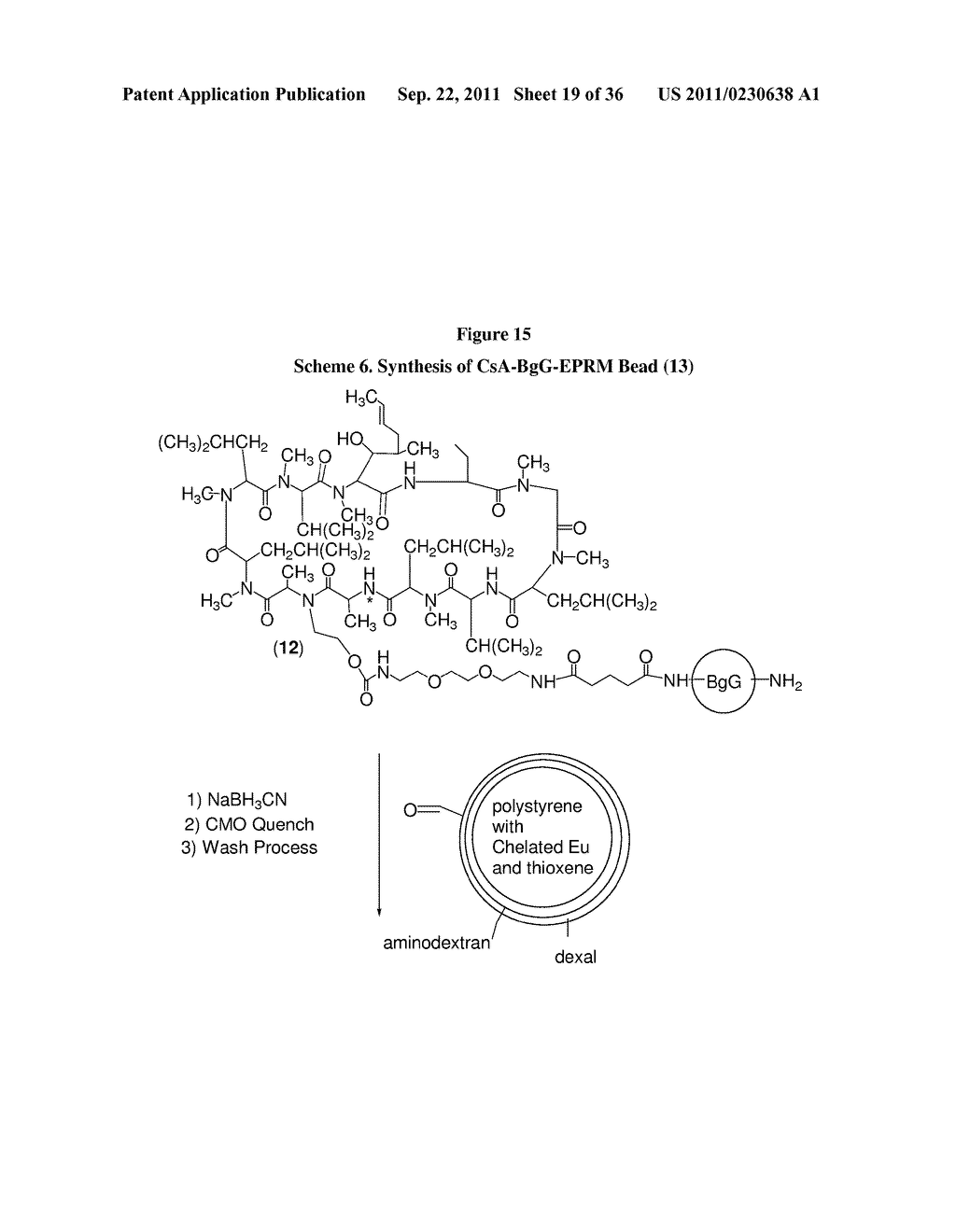 METHODS FOR DETECTION OF CYCLOSPORIN A - diagram, schematic, and image 20