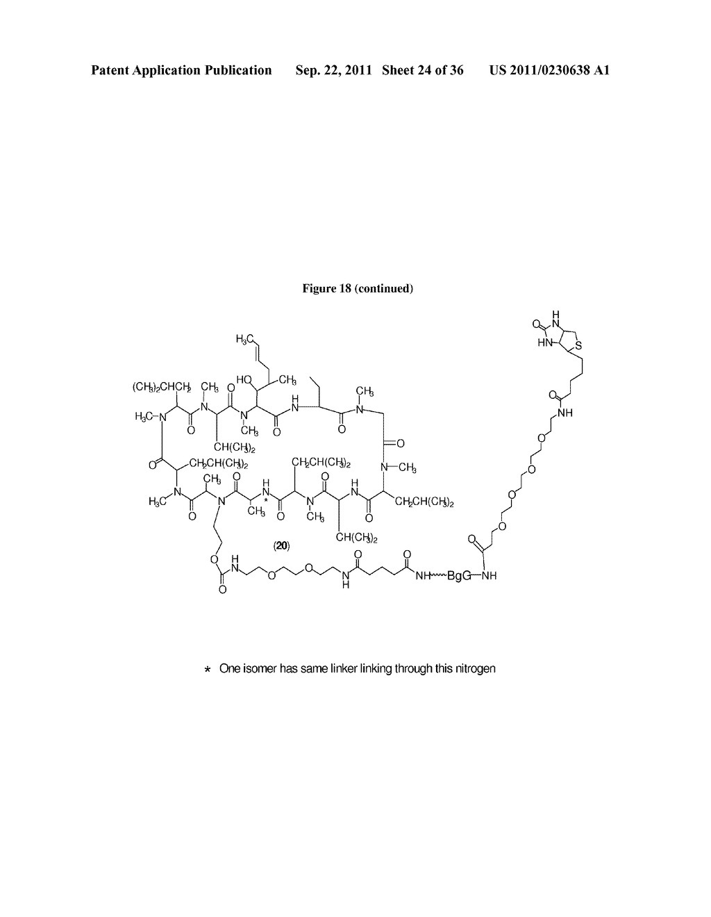 METHODS FOR DETECTION OF CYCLOSPORIN A - diagram, schematic, and image 25