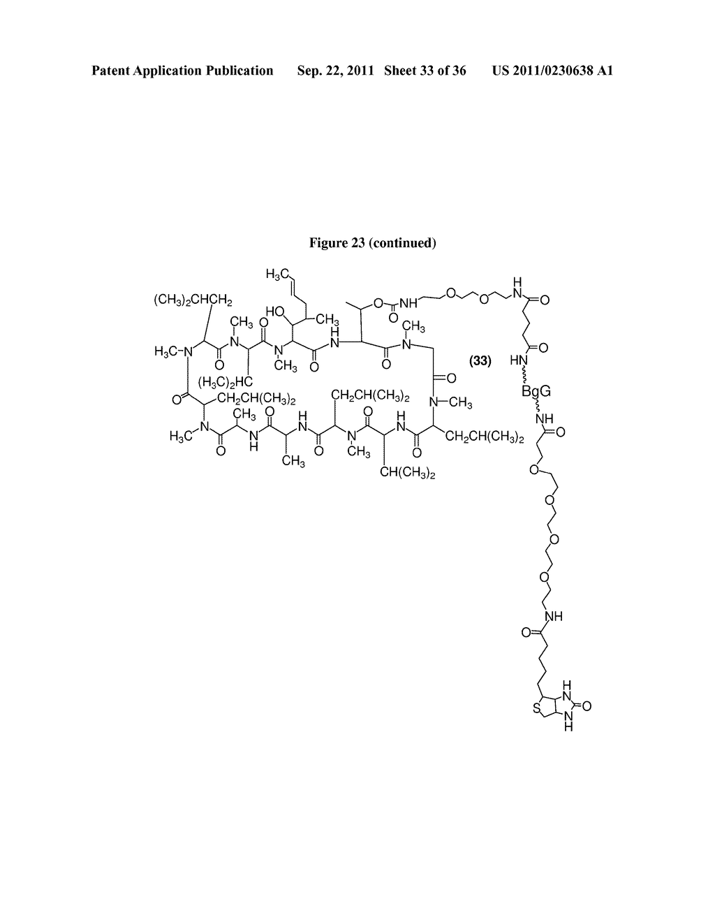 METHODS FOR DETECTION OF CYCLOSPORIN A - diagram, schematic, and image 34