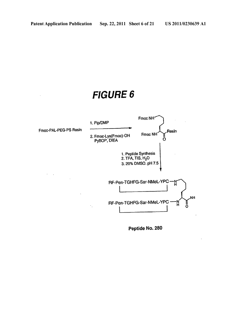 IMMUNOMODULATORY PEPTIDES - diagram, schematic, and image 07