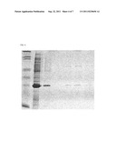 Compositions and Methods for Solubilizing Membrane Proteins Without the     Use of Detergent diagram and image