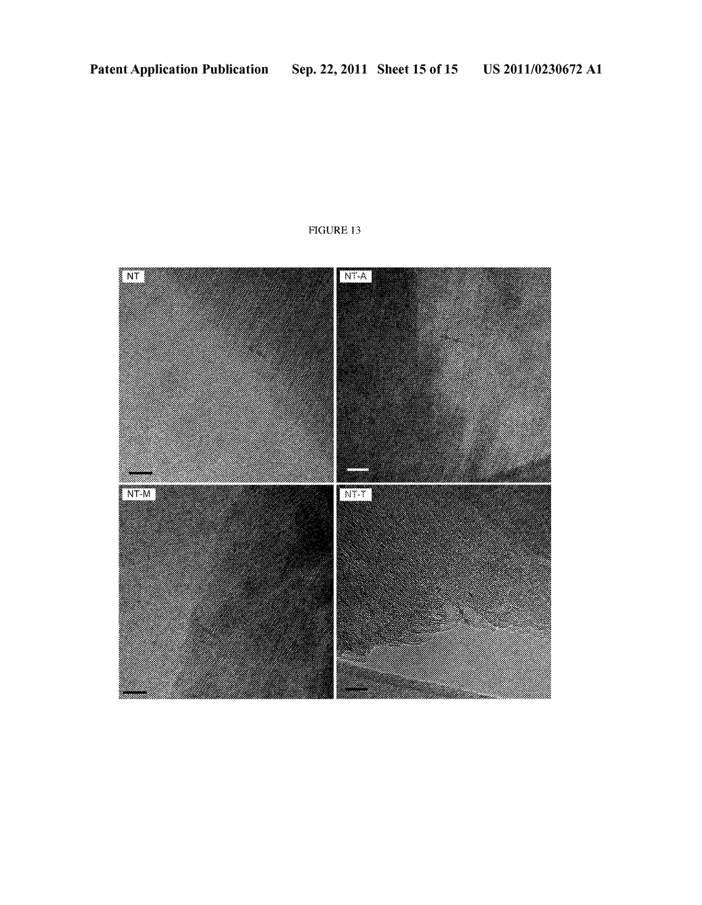 SINGLE-WALLED METAL OXIDE NANOTUBES - diagram, schematic, and image 16