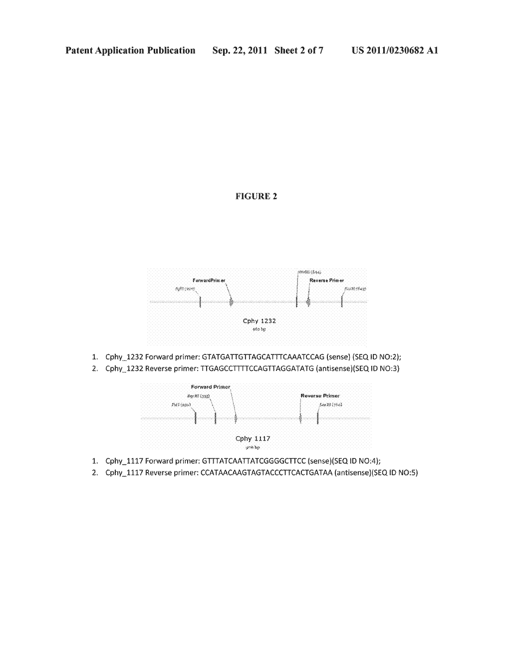 MICROORGANISMS WITH INACTIVATED LACTATE DEHYDROGENASE GENE (LDH) FOR     CHEMICAL PRODUCTION - diagram, schematic, and image 03