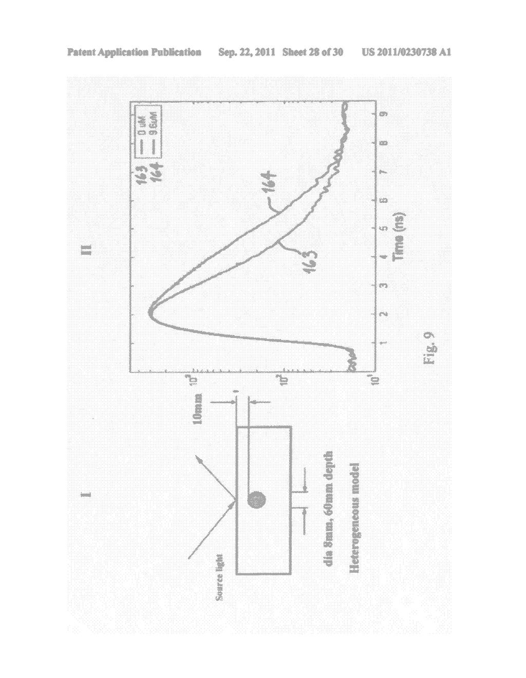 Optical examination of biological tissue using non-contact irradiation and     detection - diagram, schematic, and image 29