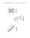 ENDOPROSTHESIS ASSEMBLIES AND METHODS FOR USING THE SAME diagram and image