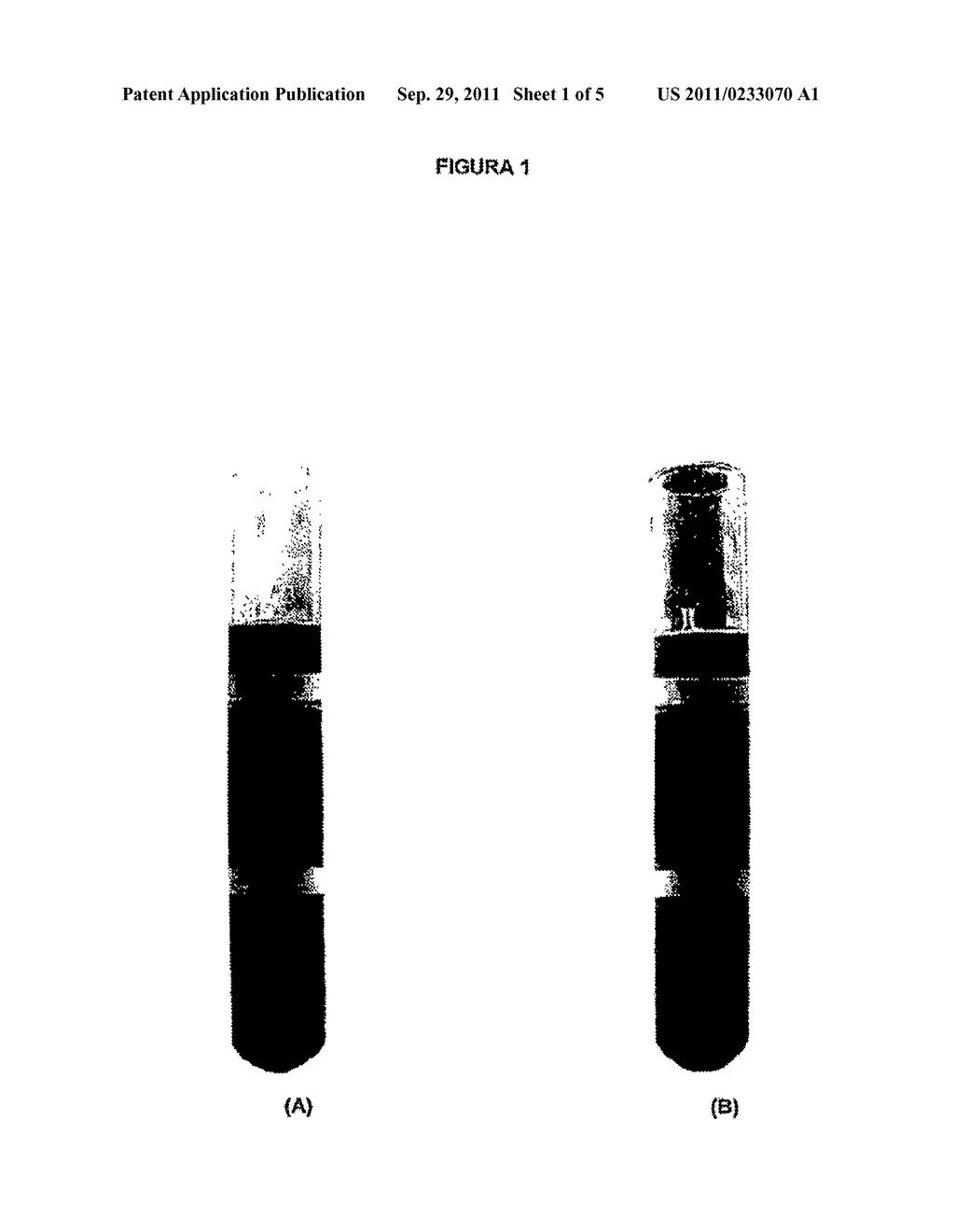 PROCESS TO REDUCE THE CHEMICAL OXYGEN DEMAND, TOTAL ORGANIC CARBON, AND     TOTAL SOLIDS IN VINASSE BY ELECTRO-FLOTATION/OXIDATION - diagram, schematic, and image 02