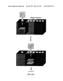 NANOSTRUCTURED MICROELECTRODES AND BIOSENSING DEVICES INCORPORATING THE     SAME diagram and image