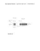 LINEAR ACTUATOR WITH INTERNAL LINEAR TO ROTARY CONVERSION AND EXTERNAL     ROTARY COMPONENT diagram and image