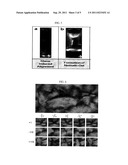 GRAPHENE COMPOSITION HAVING LIQUID CRYSTALLINE PROPERTIES AND PREPARATION     METHOD THEREOF diagram and image