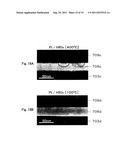 NONVOLATILE MEMORY ELEMENT diagram and image