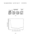 MODIFIED ND-FE-B PERMANENT MAGNET  WITH HIGH CORROSION RESISTANCE diagram and image