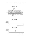 POINTER DETECTION APPARATUS AND DETECTION SENSOR diagram and image