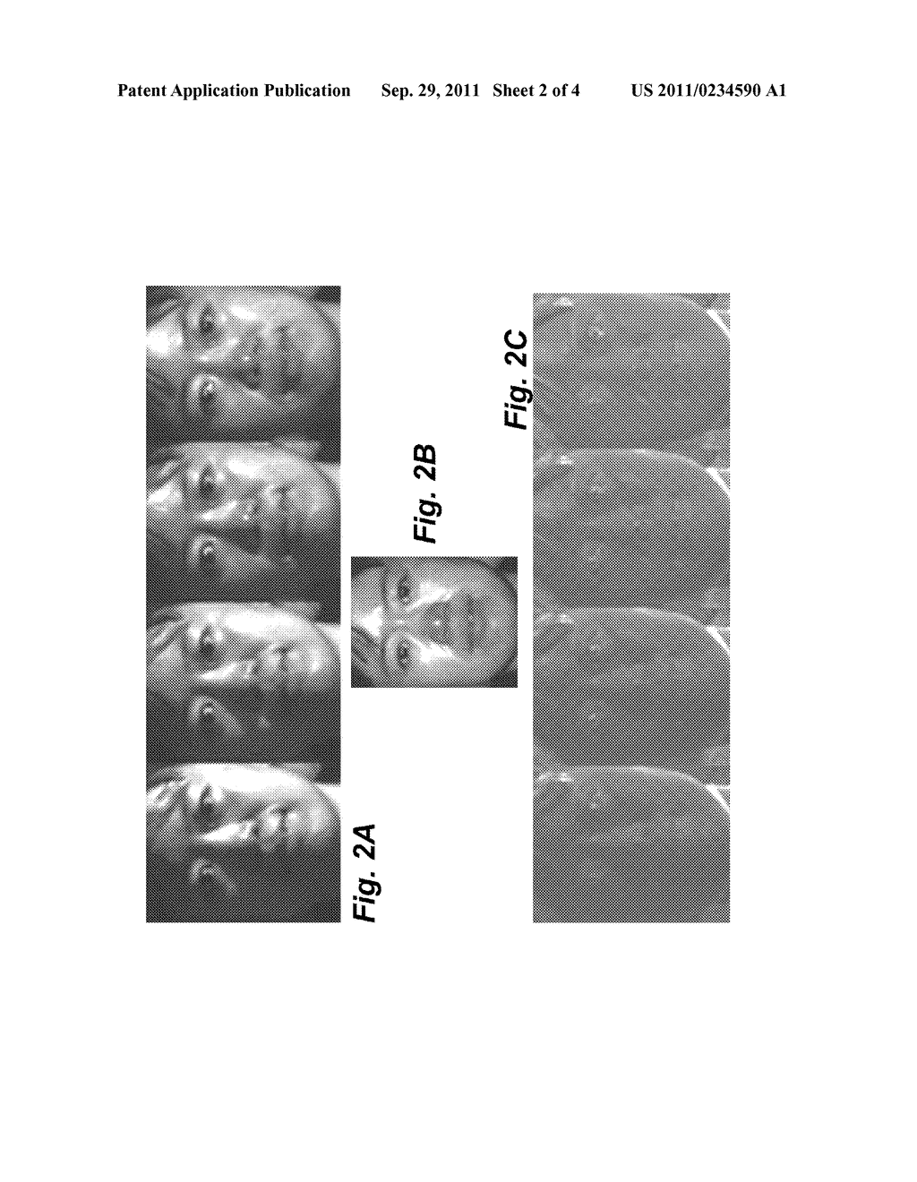 Method for Synthetically Relighting Images of Objects - diagram, schematic, and image 03