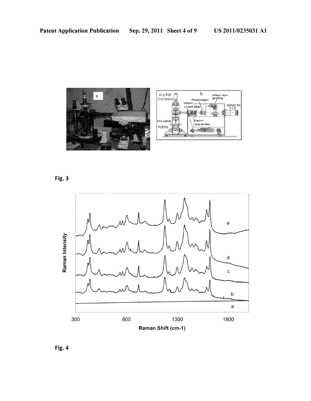 SUBSTRATE FOR SURFACE ENHANCED RAMAN SCATTERING STUDIES - diagram, schematic, and image 05