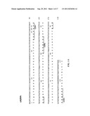 STRUCTURAL VARIANTS OF ANTIBODIES FOR IMPROVED THERAPEUTIC CHARACTERISTICS diagram and image