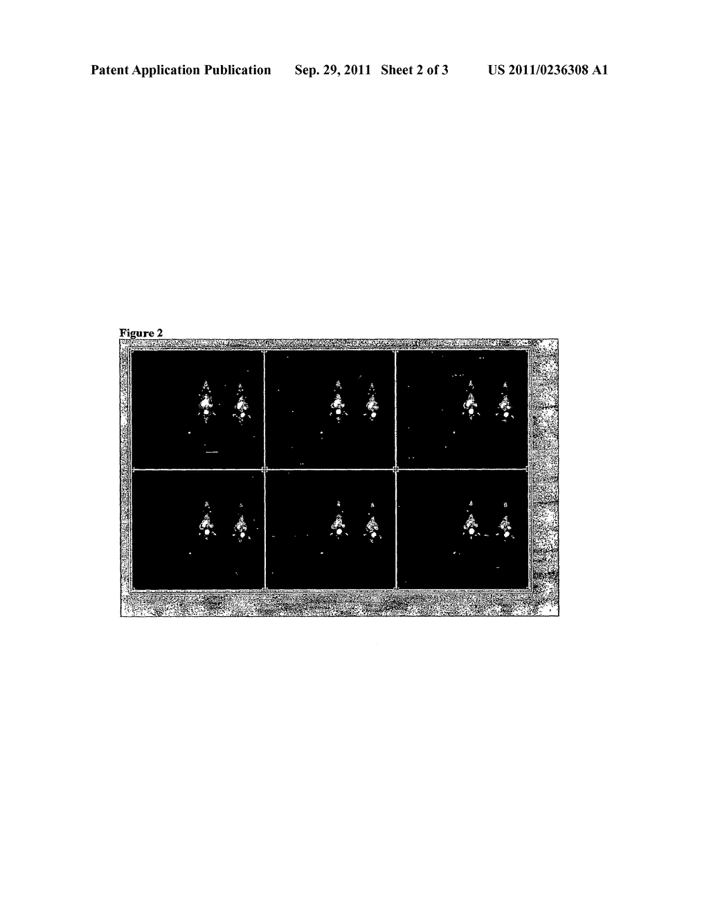 Aryl Bidentate Isonitriles and Their Uses - diagram, schematic, and image 03