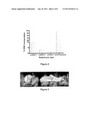 NUCLEOSIDE ANALOGUES USEFUL AS POSITRON EMISSION TOMOGRAPHY (PET) IMAGING     AGENTS diagram and image