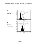 Monoclonal Anti-Claudin 1 Antibodies for the Inhibition of Hepatitis C     Virus Infection diagram and image