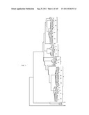 ADENO-ASSOCIATED VIRUS (AAV) CLADES, SEQUENCES, VECTORS CONTAINING SAME,     AND USES THEREFOR diagram and image