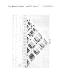 Genetic Alterations on Chromosomes 21q, 6q  and 15q and Methods of Use     Thereof for the Diagnosis and Treatment of Type I Diabetes diagram and image