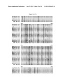 RECOMBINANT CDV COMPOSITIONS AND USES THEREOF diagram and image