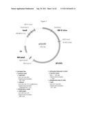 BLUETONGUE VIRUS RECOMBINANT VACCINES AND USES THEREOF diagram and image