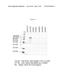 BLUETONGUE VIRUS RECOMBINANT VACCINES AND USES THEREOF diagram and image