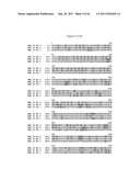 BLUETONGUE VIRUS RECOMBINANT VACCINES AND USES THEREOF diagram and image