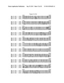 BLUETONGUE VIRUS RECOMBINANT VACCINES AND USES THEREOF diagram and image