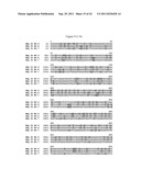 BLUETONGUE VIRUS RECOMBINANT VACCINES AND USES THEREOF diagram and image