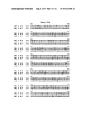 BLUETONGUE VIRUS RECOMBINANT VACCINES AND USES THEREOF diagram and image