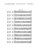 BLUETONGUE VIRUS RECOMBINANT VACCINES AND USES THEREOF diagram and image