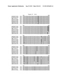 BLUETONGUE VIRUS RECOMBINANT VACCINES AND USES THEREOF diagram and image