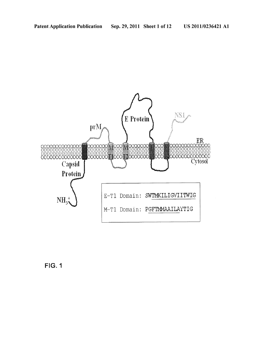 FLAVIVIRUS HOST RANGE MUTATIONS AND USES THEREOF - diagram, schematic, and image 02