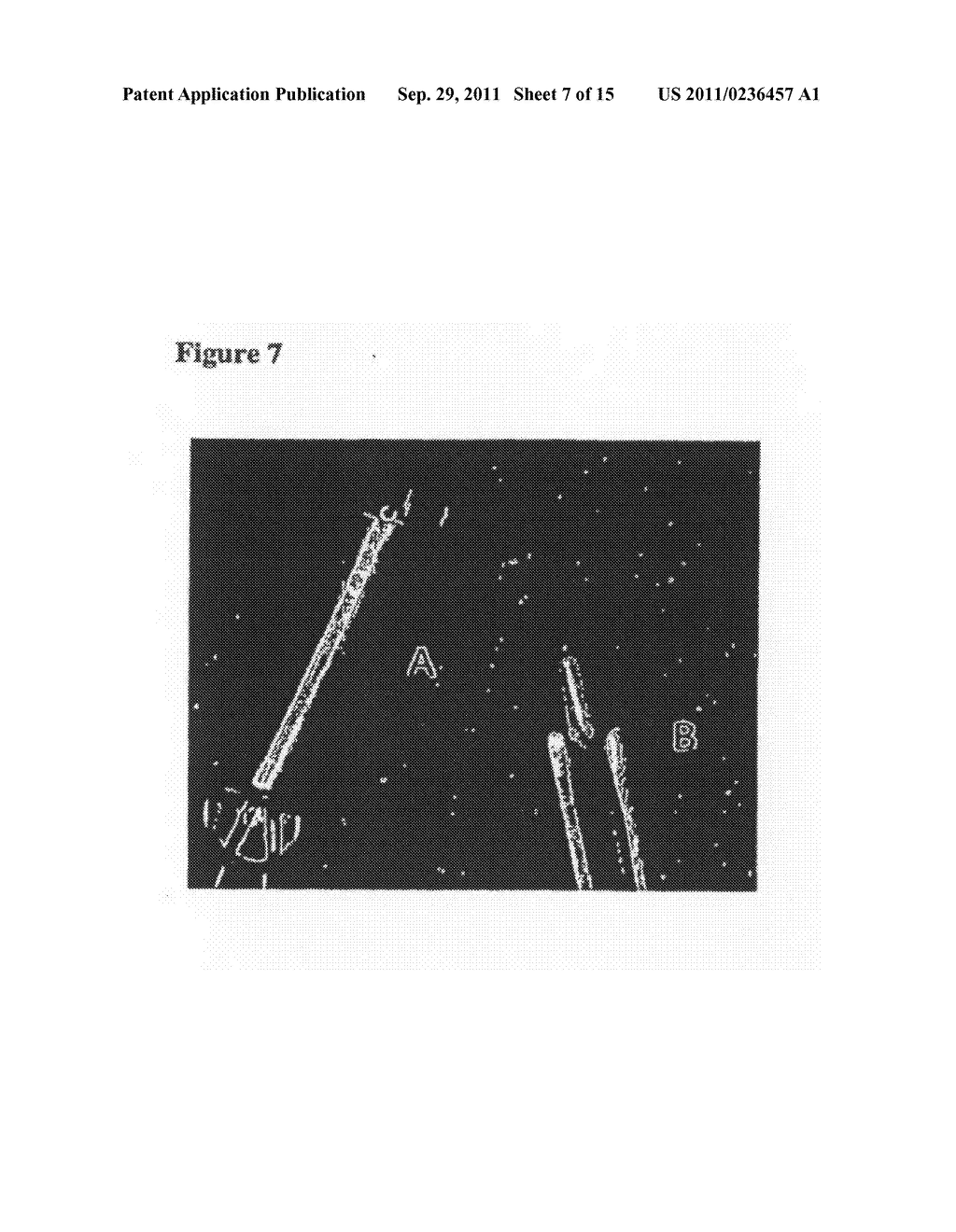 Micronized Device for the Delivery of Biologically Active Molecules and     Methods of Use Thereof - diagram, schematic, and image 08